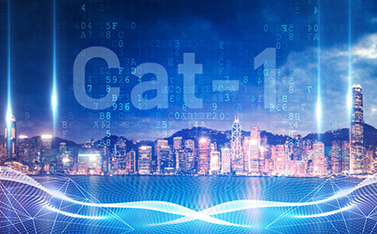 工信部重磅发文，Cat-1/NB-IoT再次站上新风口