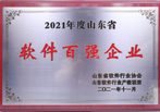 2021年 山东省软件百强企业